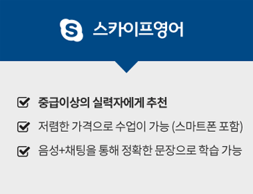 스카이프영어 소개