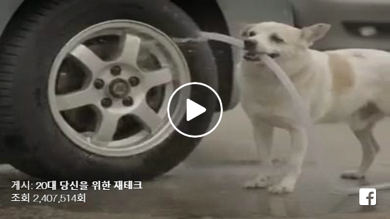 은혜 갚은 개(Dog)