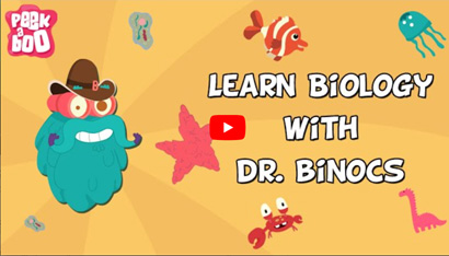 Learn Biology With Dr. Binocs