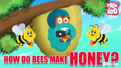 How Do Bees Make Honey? - The Dr. Binocs Show