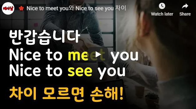 Nice to meet you와 Nice to see you 차이