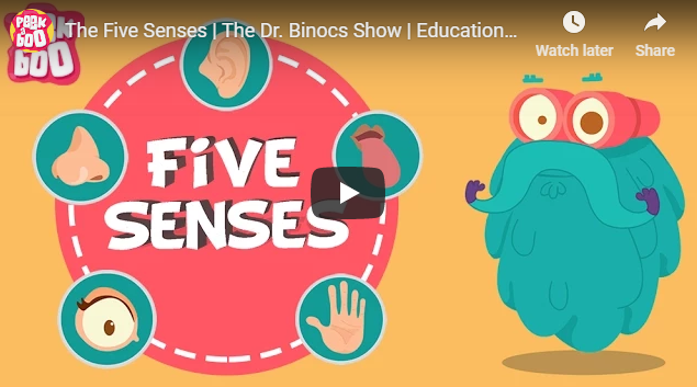 [영어동영상] The Five Senses
