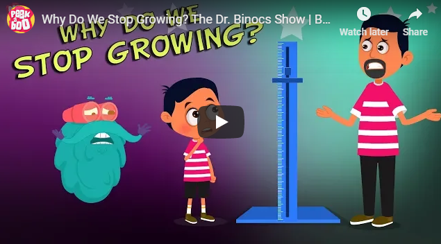 [영어 동영상] Why Do We Stop Growing? The Dr. Binocs Show