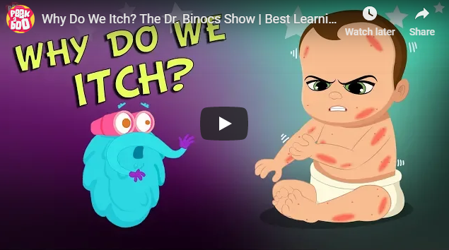 [영어 동영상] Why Do We Itch? The Dr. Binocs Show