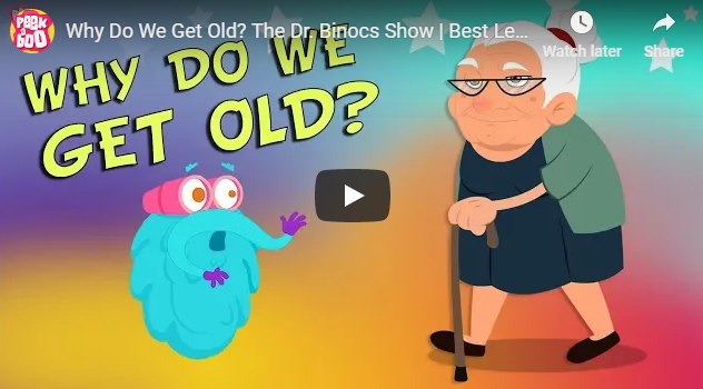 Why Do We Get Old? The Dr. Binocs Show