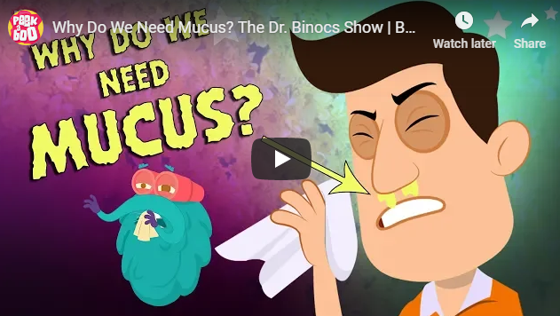 [영어동영상] Why Do We Need Mucus? The Dr. Binocs Show