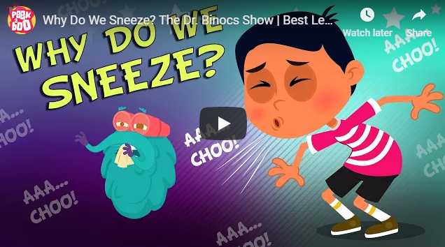 [영어동영상] Why Do We Sneeze? The Dr. Binocs Show