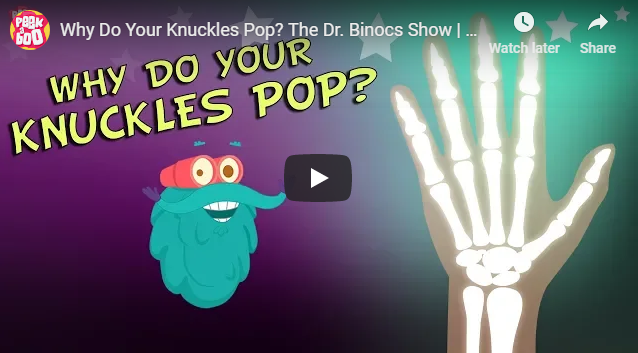 [영어 동영상] Why Do Your Knuckles Pop? The Dr. Binocs Show