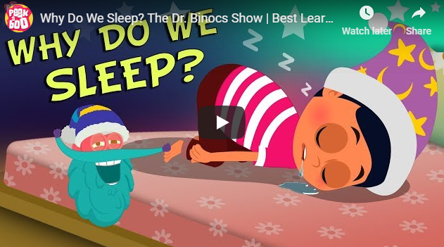 Why Do We Sleep? The Dr. Binocs Show