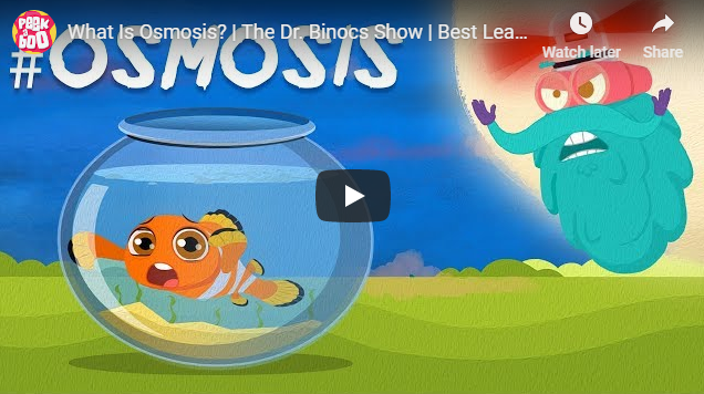 [영어동영상] What Is Osmosis? | The Dr. Binocs Show