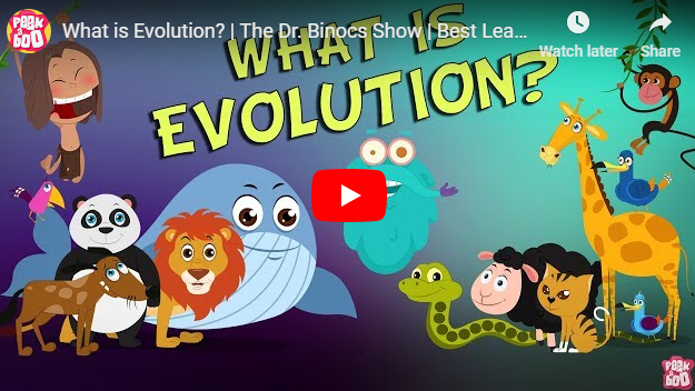 [영어동영상] What is Evolution?