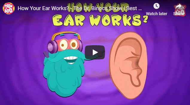[영어동영상] How Your Ear Works?