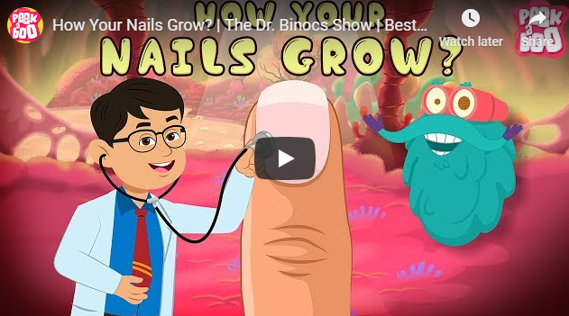 [영어동영상] How Your Nails Grow?