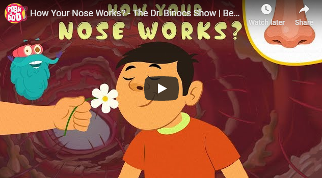 [영어동영상]How Your Nose Works?