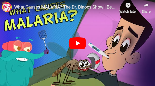 [영어 동영상] What Causes MALARIA? The Dr. Binocs Show 