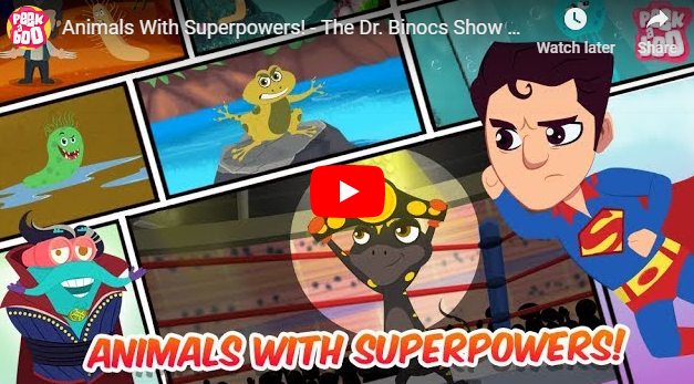 [영어동영상]Animals With Superpowers!