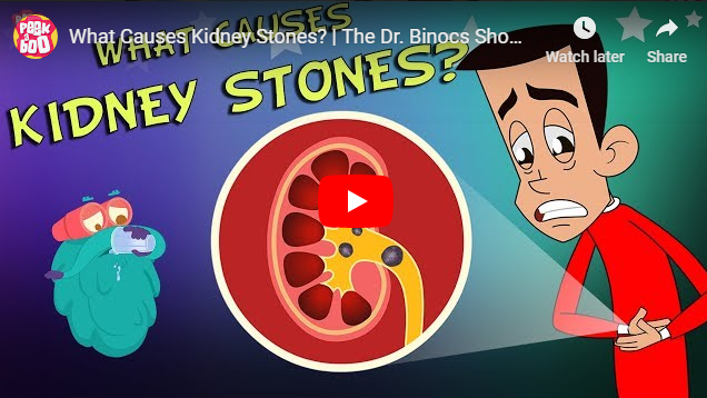 [영어동영상]What Causes Kidney Stones?