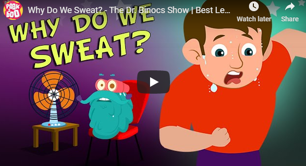 [영어동영상]Why Do We Sweat? - The Dr. Binocs Show