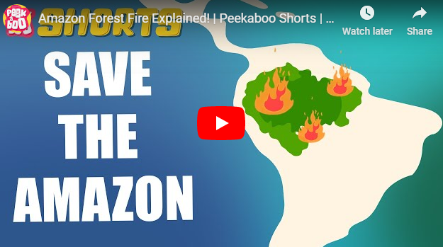 [영어동영상]Amazon Forest Fire Explained!