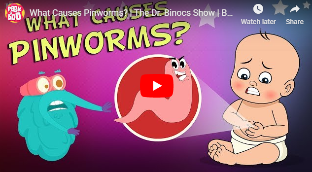 [영어동영상]What Causes Pinworms? 