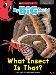 Scholastic Level 1 - My Big World