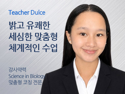 Dulce 강사님